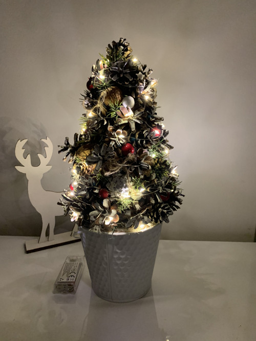 Vánoční stromeček — foto 4