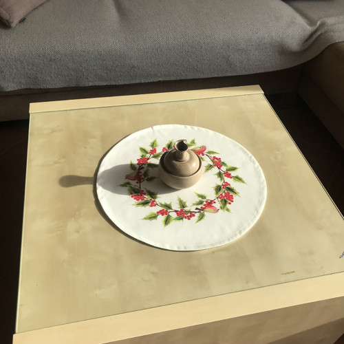 Středovka kulatá- cesmína — foto 3