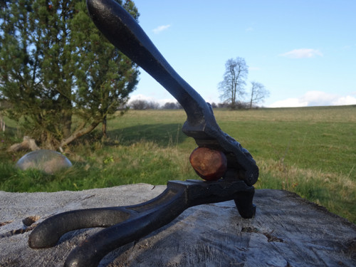 Louskáček ořechú — foto 5