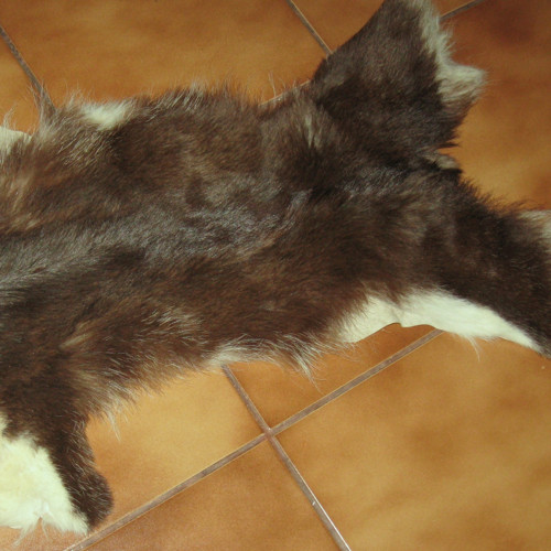Přednožka 16569 — foto 2