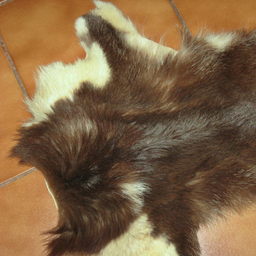Přednožka 16569 — foto 3