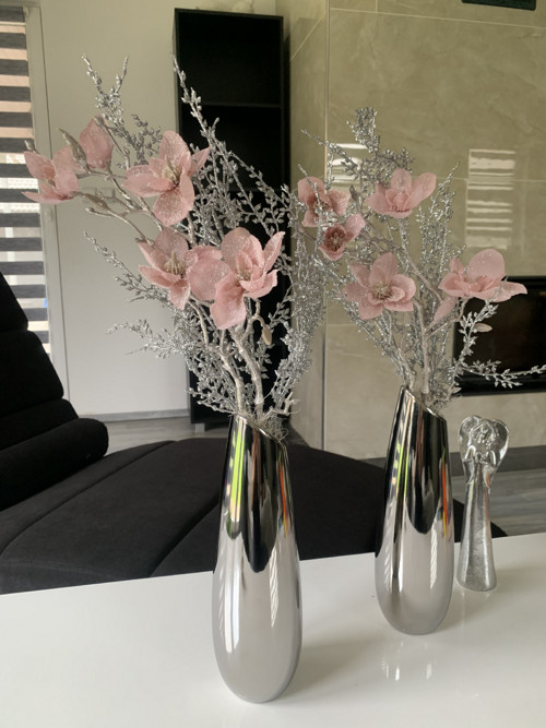 Zasněžená magnolie — foto 4