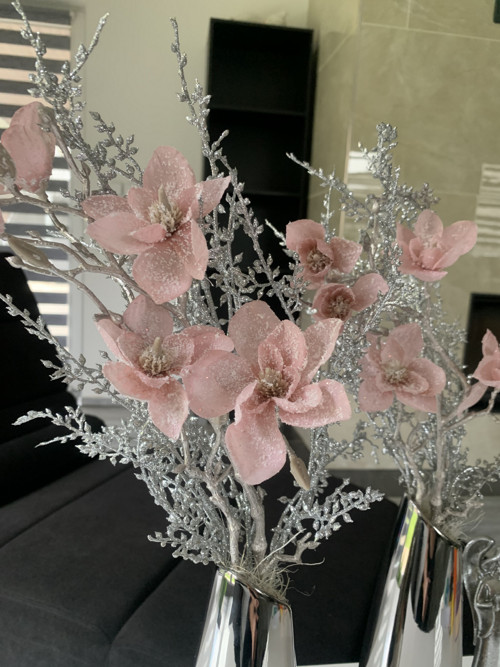 Zasněžená magnolie — foto 3