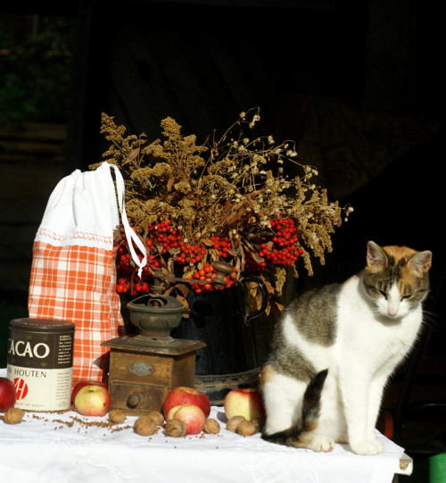 Pytlík na bagety červený — foto 2