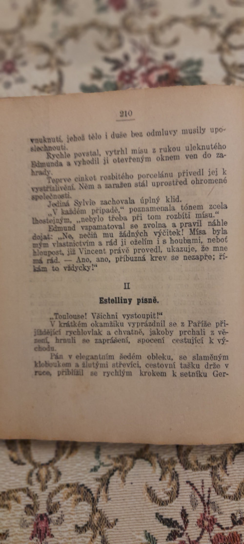 Zlaté oči - J. Champol — foto 4