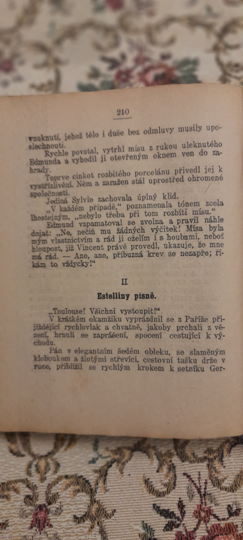 Zlaté oči - J. Champol — foto 5