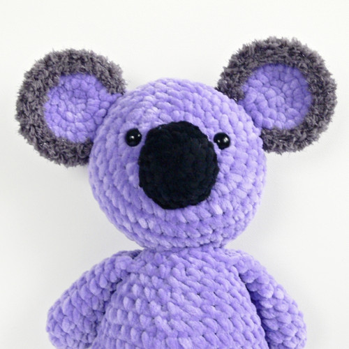 Koala velká — foto 3