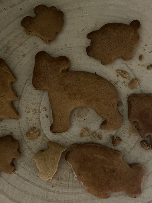 Svíčka Gingerbread — foto 4