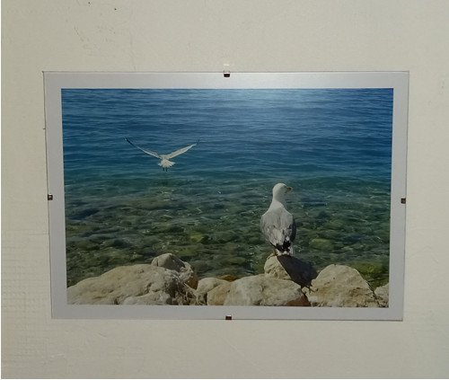 Rackové — foto 2