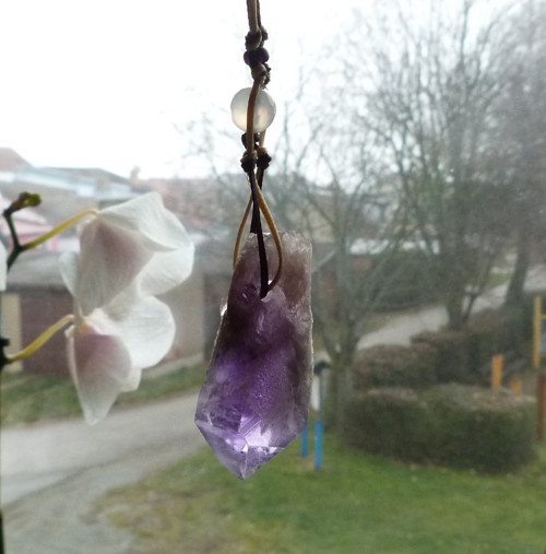 Láskyplná fialka 2 — foto 3