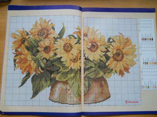 Rozárka speciál 4 / 2005 — foto 4