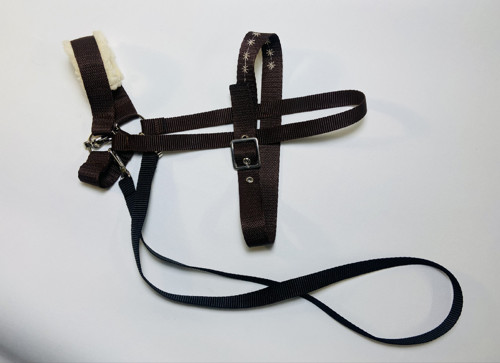 Uzdečka na přání - Hobby horse — foto 3