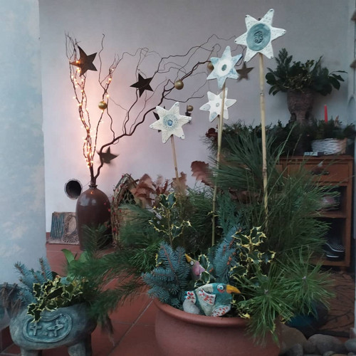 Velký zápich hvězdy — foto 5