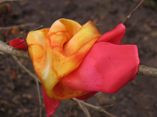 Rozkvétá ... — foto 2