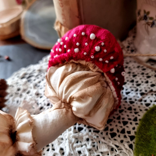 Muchomůrka houba — foto 3