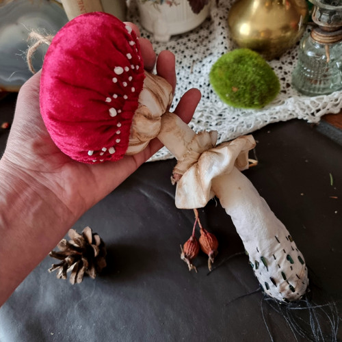 Muchomůrka houba — foto 6