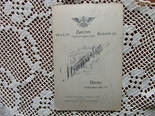 Čtenářka - kabinetka — foto 3