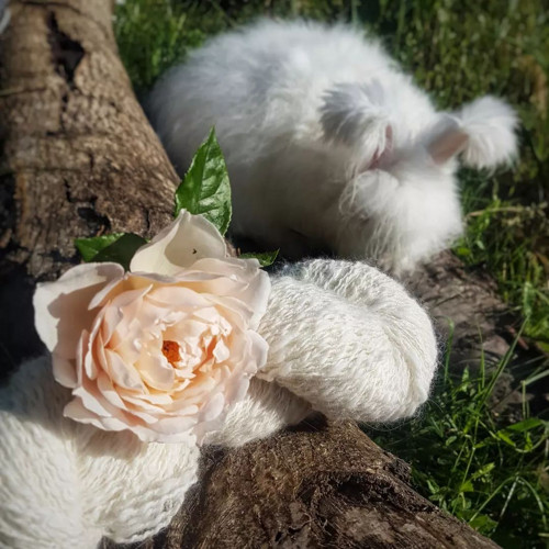 Z obláčků - Noblesní Jája — foto 5