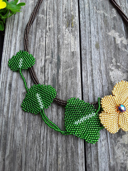 Zlaté macešky — foto 3