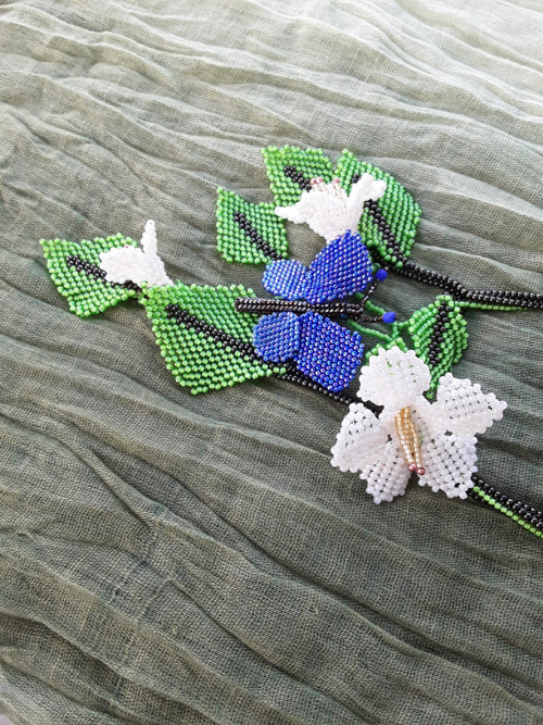 Perleťové vajgélie — foto 3