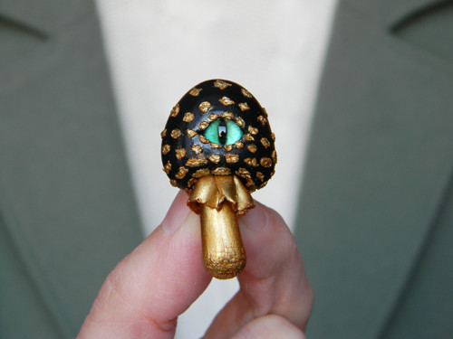 Muchomůrka zlatá — foto 3