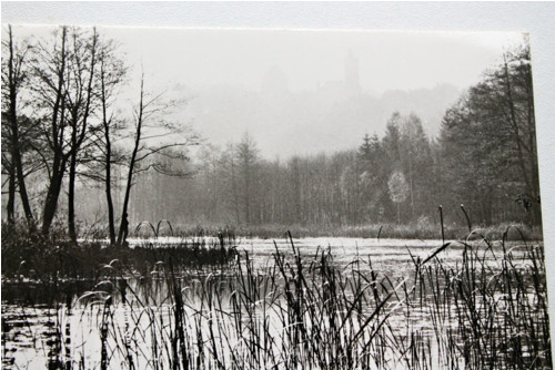 Pohled Kokořín v mlze — foto 2
