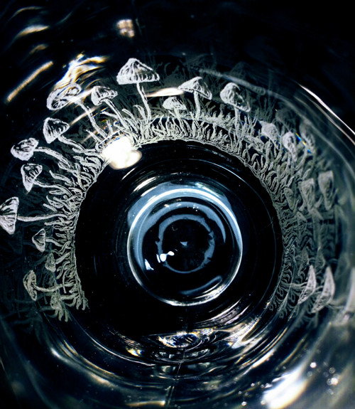 Houby magický — foto 2