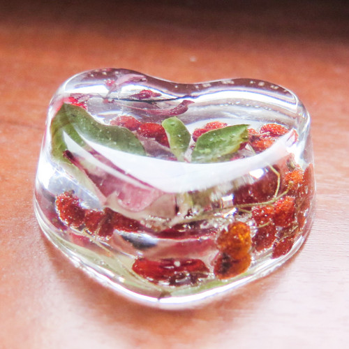 Rakytník — foto 2