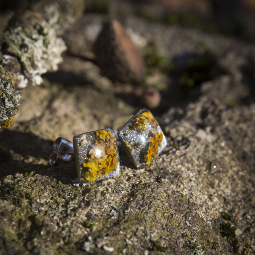 Náušnice lišejník 10 mm — foto 4