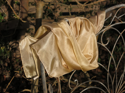 Bílá káva — foto 2