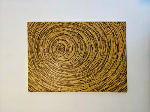 Spirála hnědá — foto 2