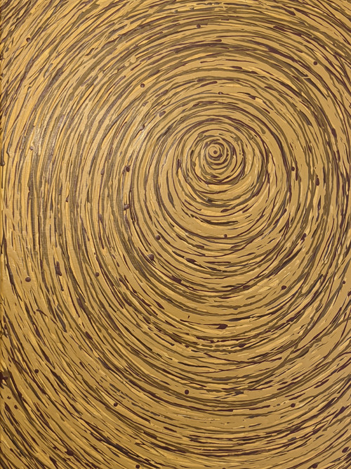 Spirála hnědá — foto 3