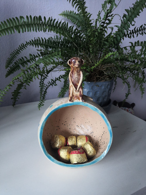 Miska surikata — foto 2