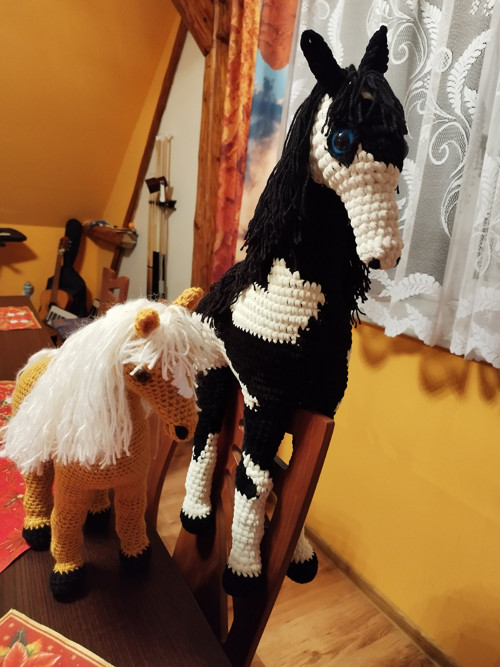 Háčkovaný koník — foto 4