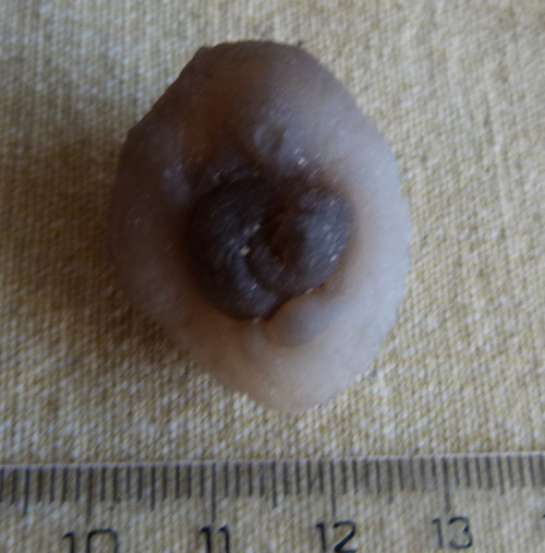 Chalcedon - 3,1 cm — foto 3