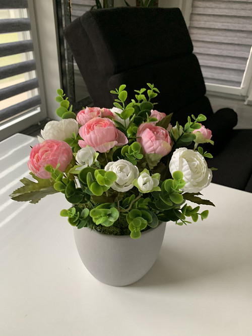 Kamélie — foto 5