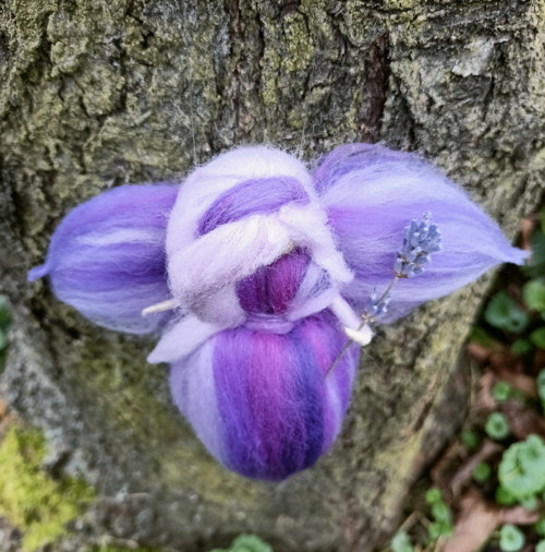 Víla Levandulka — foto 4