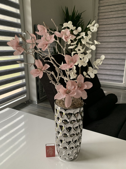 Zasněžené magnolie — foto 3