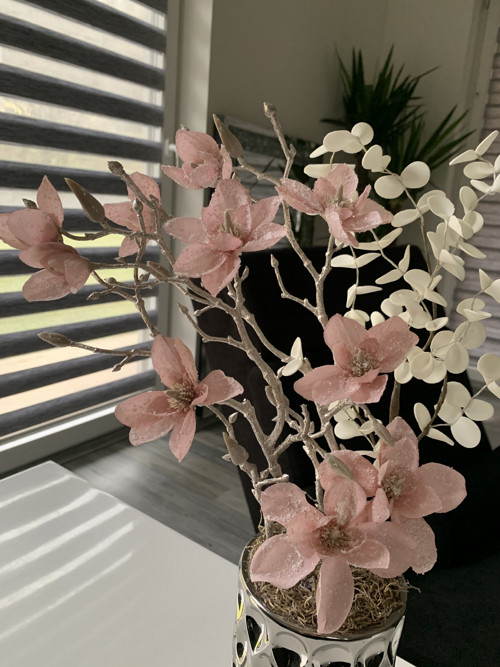 Zasněžené magnolie — foto 4