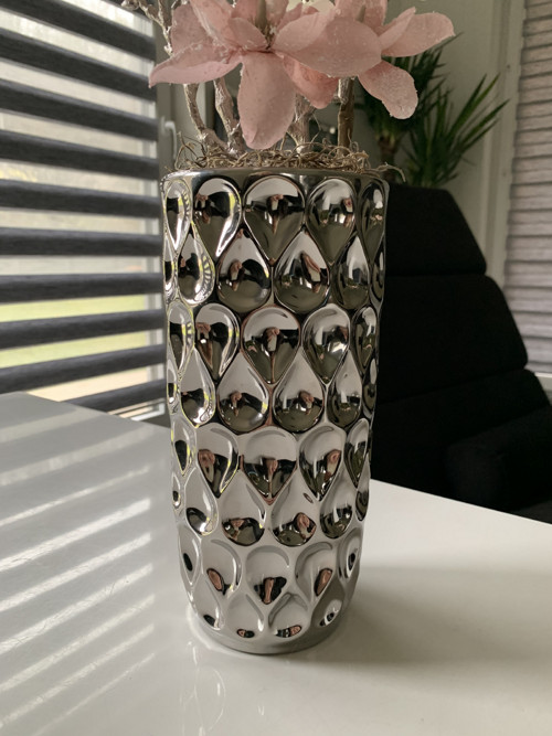 Zasněžené magnolie — foto 2