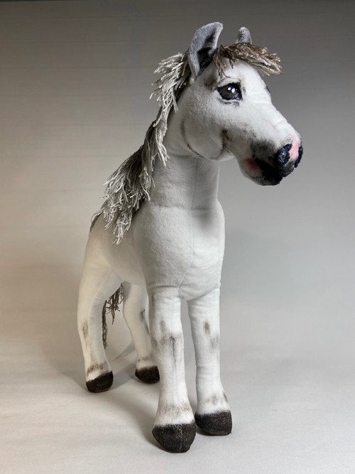 Pony na přání — foto 5