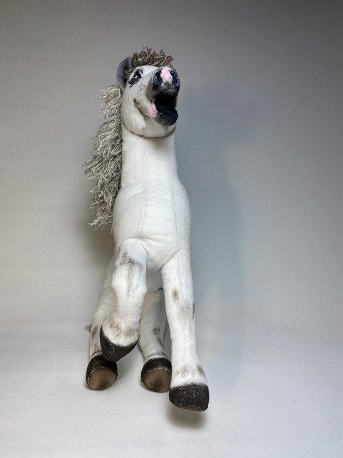 Pony na přání — foto 4