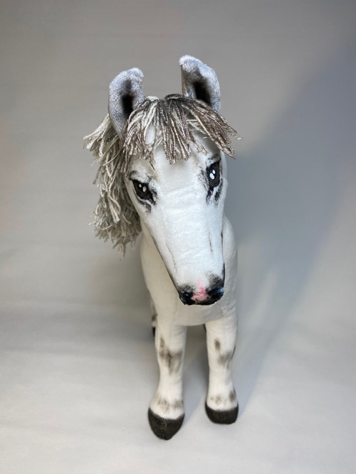 Pony na přání — foto 2