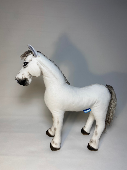 Pony na přání — foto 3