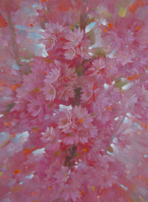 Jární sakura — foto 2
