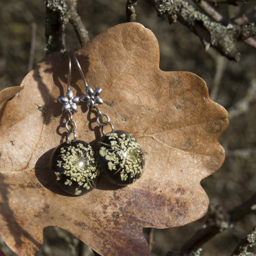 Náušnice divoká mrkev — foto 6