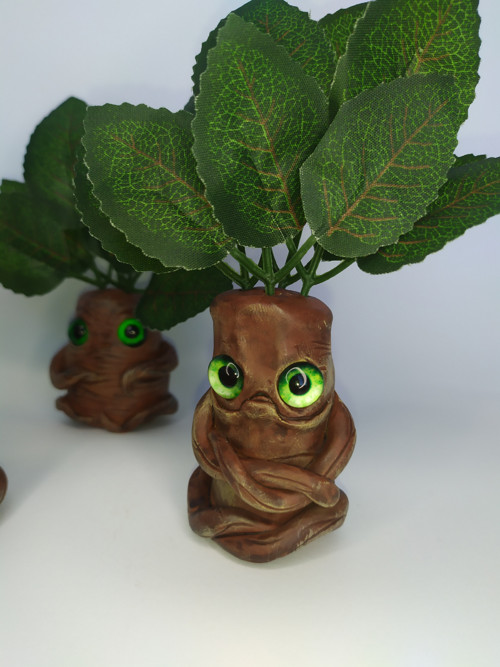 Mandragora 1 - zápich — foto 2