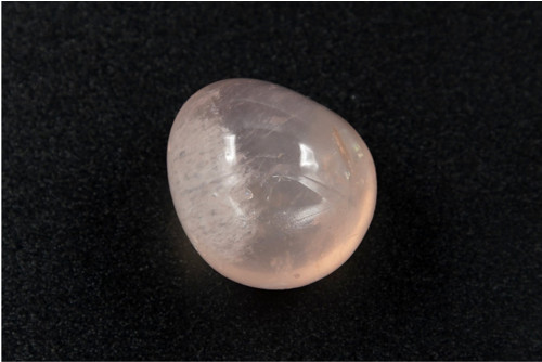 Růženín Asterický 2,5 cm — foto 2