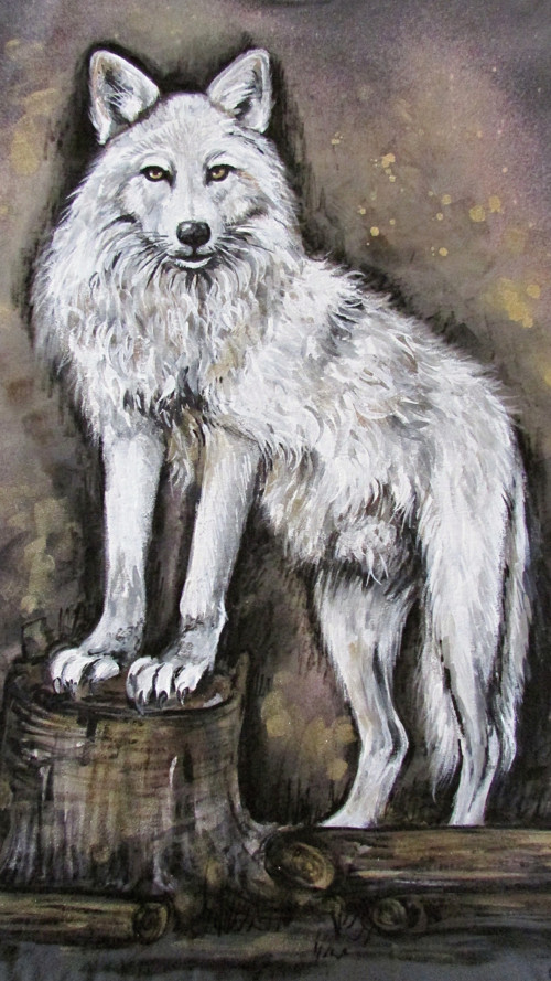 Polar Wolf, vel. L — foto 3