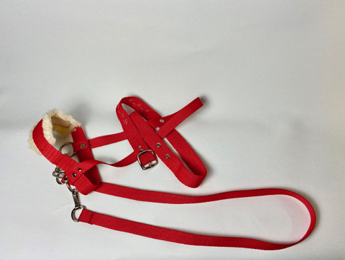 Uzdečka- pro hobby horse — foto 4